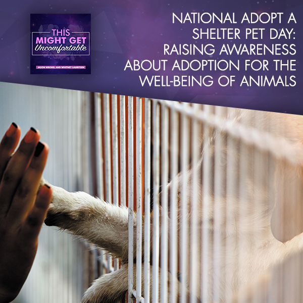 Raising Awareness About Adoption For The Well-Being Of Animals: National Adopt A Shelter Pet Day